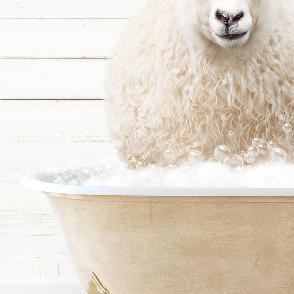 a sheep is sitting in a bathtub with bubbles