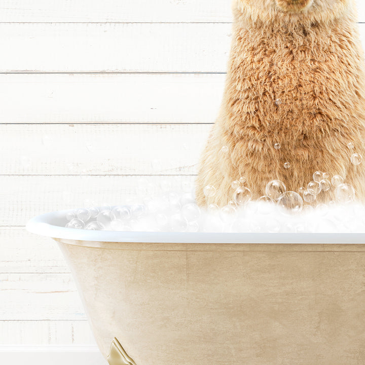 a brown bear sitting in a bathtub filled with bubbles