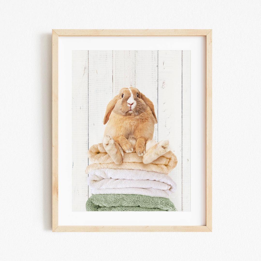 A fluffy orange rabbit sits atop a stack of colorful towels, looking directly at the camera with a curious expression.