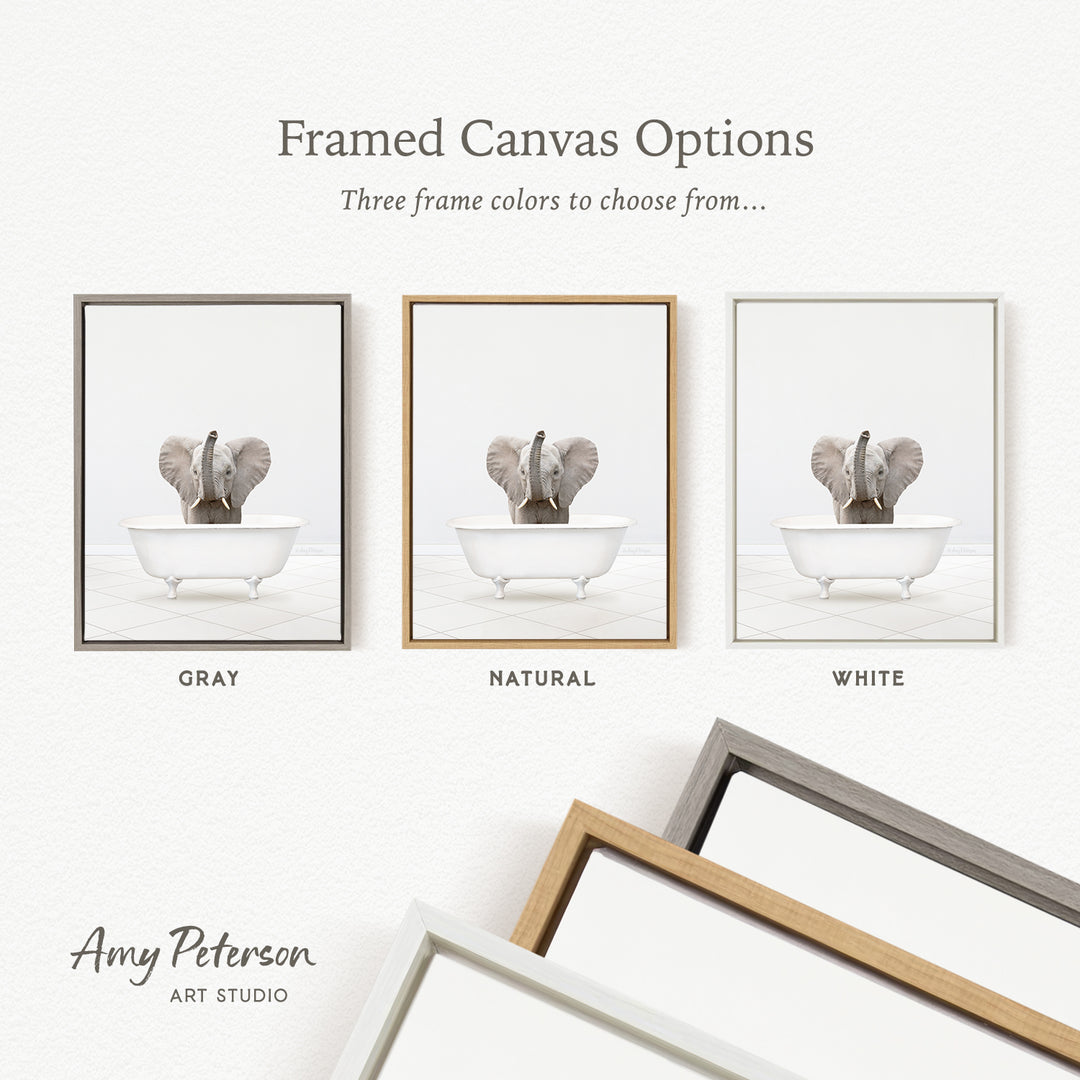 three framed canvas options, each featuring a different color: gray, natural, and white. The text above the images reads " Framed Canvas Options" and "Three frame colors to choose from...". The text below the images reads "Grays", "Naturals", and "Whites". The artist's name, Amy Peterson, is also mentioned at the bottom of the image.