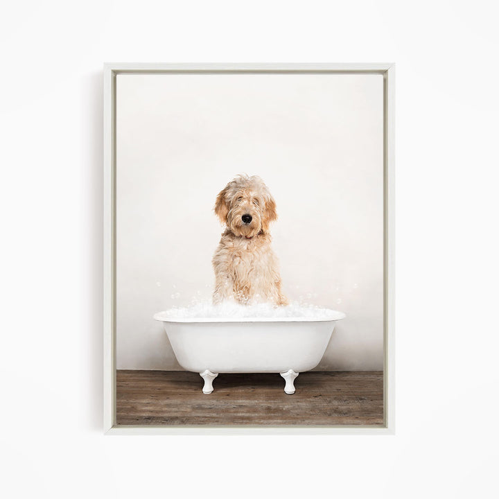 A fluffy golden retriever dog sitting in a white bathtub filled with water, looking directly at the camera.