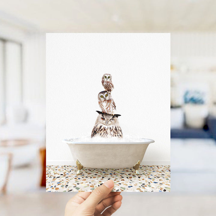 A hand holds up a framed image of three owls sitting in a bathtub, with the owls' heads submerged in the water.