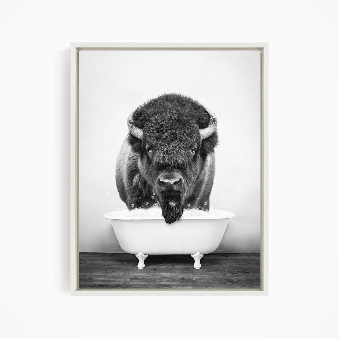 A black and white photograph of a bison standing in a white bathtub, with its head and horns prominently featured.