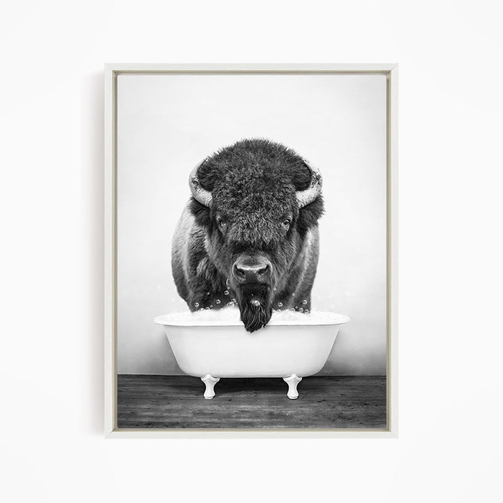 A black and white photograph of a bison standing in a white bathtub, with its head and horns prominently featured.