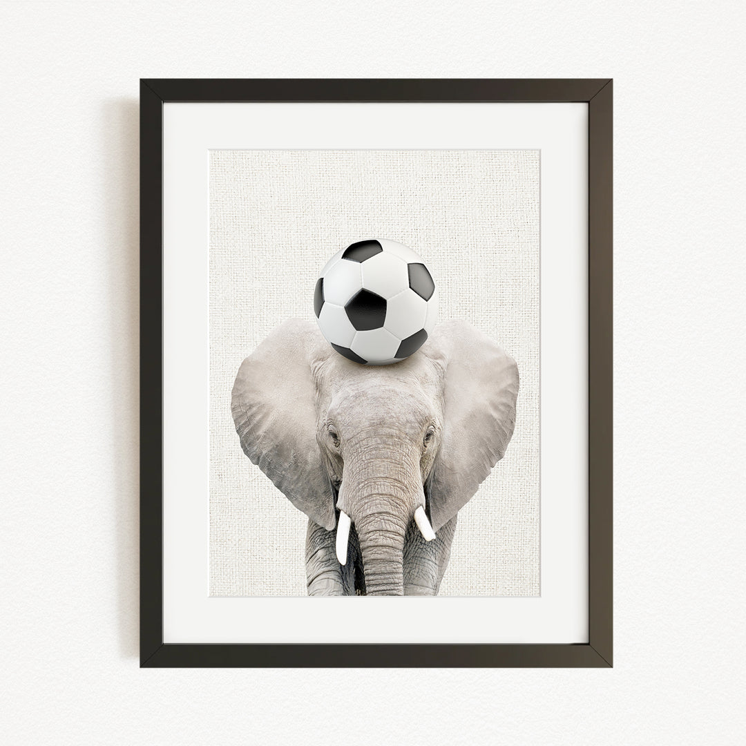 A framed image of an elephant balancing a soccer ball on its head.