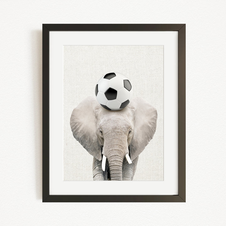 A framed image of an elephant balancing a soccer ball on its head.