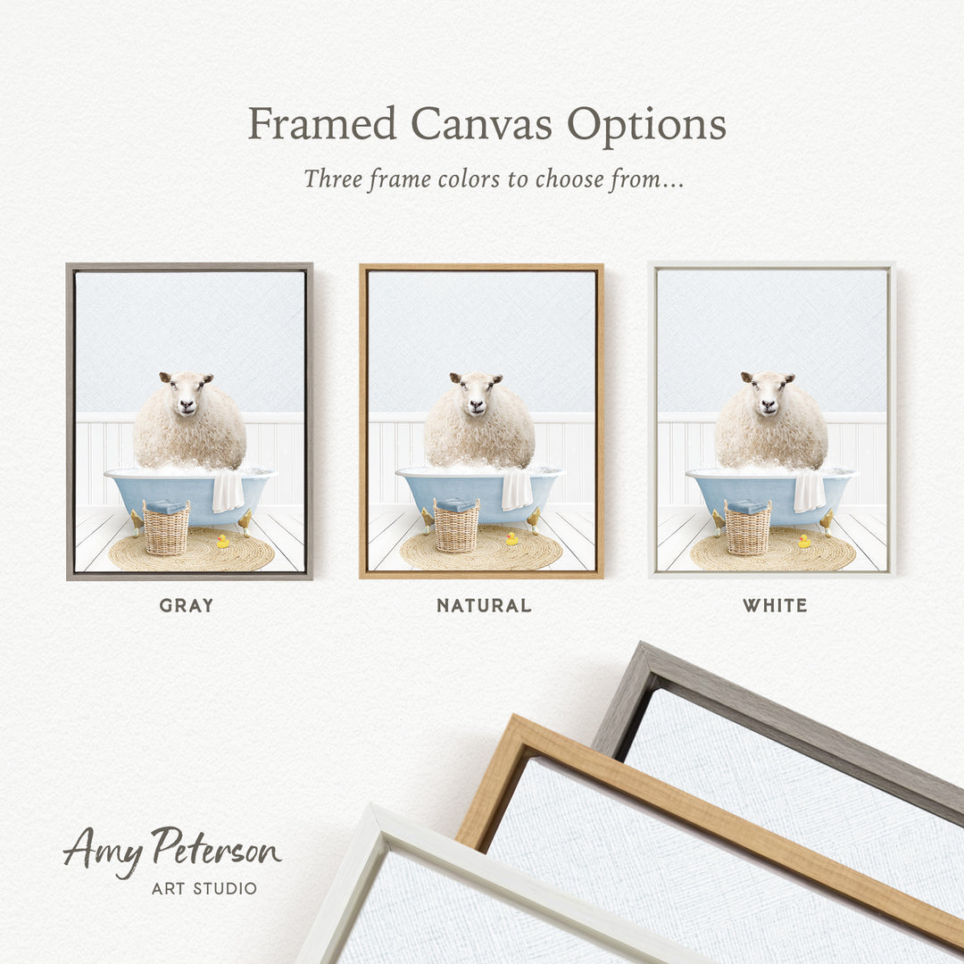 The image is a framed canvas option showcasing three different frame colors: gray, natural, and white. The canvas features a sheep sitting in a bathtub, and the frame color options are displayed below the canvas.