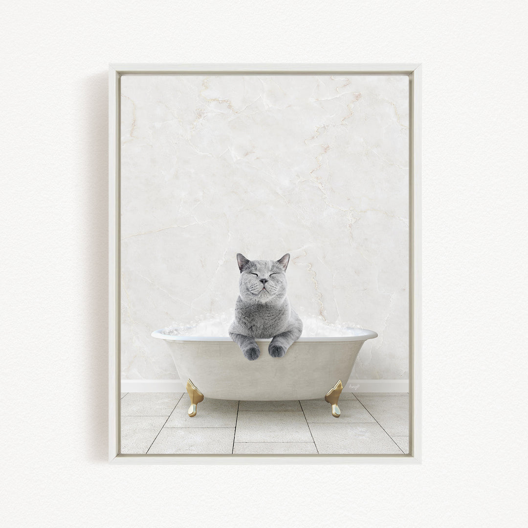 A gray cat sitting in a white bathtub filled with bubbles, looking content and relaxed.