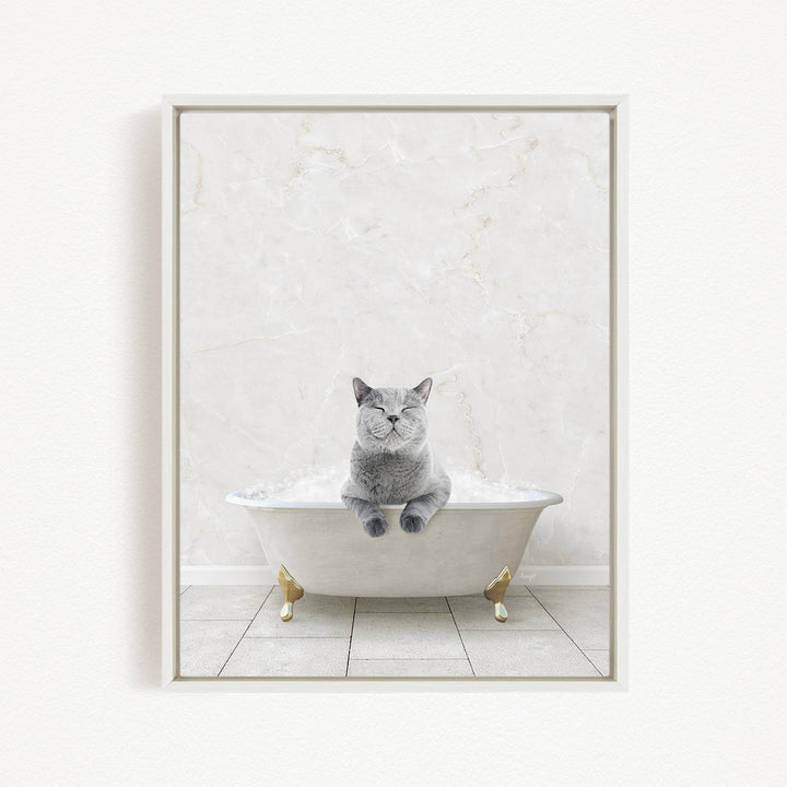 A gray cat sitting in a white bathtub filled with bubbles, looking content and relaxed.