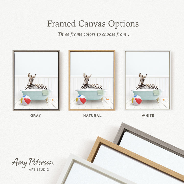 three framed canvas options, each featuring a zebra sitting in a bathtub with a beach ball and a starfish. The options include a gray frame, a natural frame, and a white frame.