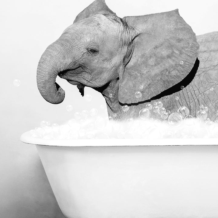 a black and white photo of an elephant taking a bath