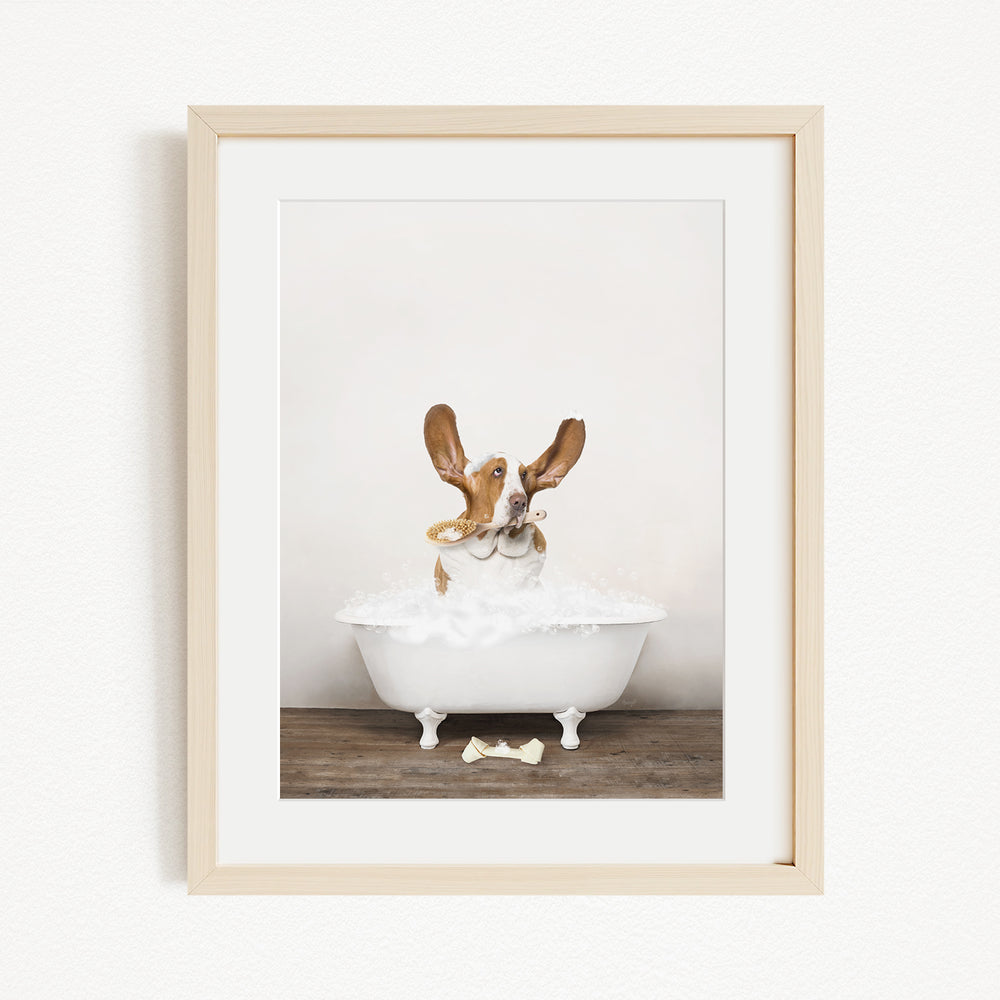 A dog sitting in a white bathtub filled with bubbles, with a bone on the floor in front of it.