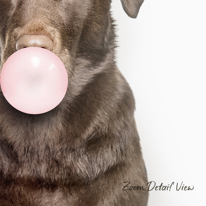 A close-up of a dog's face holding a pink bubble gum bubble.