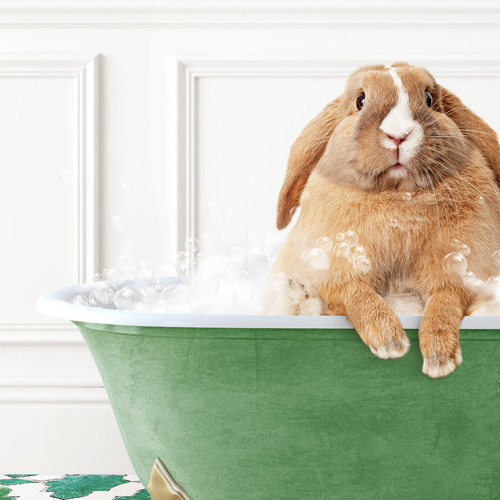 a rabbit sitting in a bathtub full of bubbles