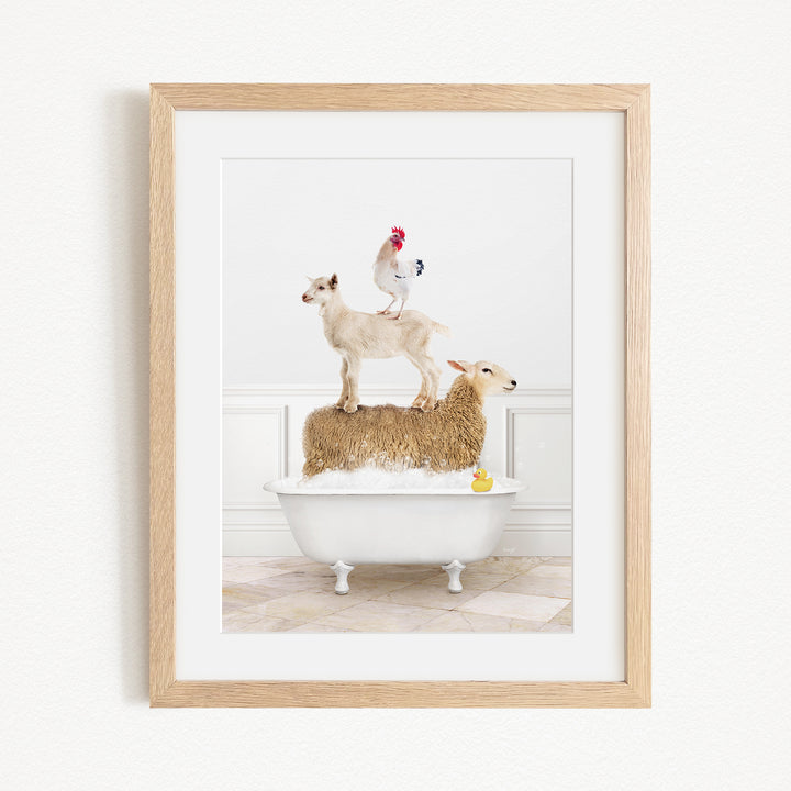 A framed image depicting a goat standing on a sheep's back while a chicken sits on top of a sheep in a bathtub.