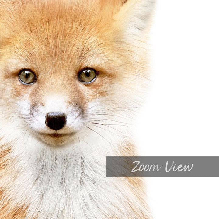 a close up of a fox's face with a white background