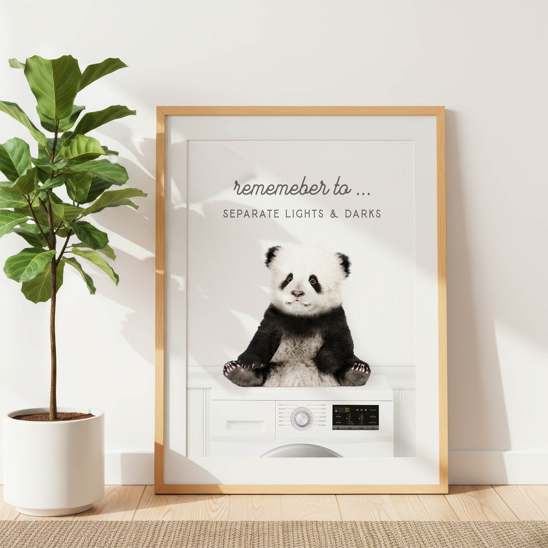 A framed poster featuring a panda bear sitting on a washing machine, with the text "Remember to separate lights & darks" displayed on the poster.