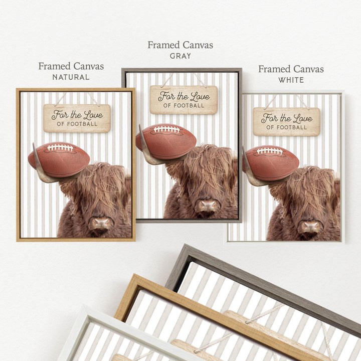 a framed canvas with a close-up of a Highland cow holding a football, accompanied by three framed canvas options in different colors: natural, gray, and white.