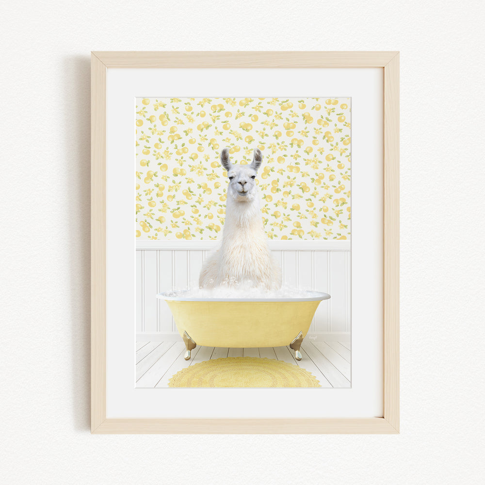 A white llama sitting in a yellow bathtub against a yellow and white floral wallpaper background.