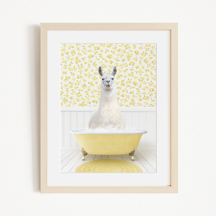 A white llama sitting in a yellow bathtub against a yellow and white floral wallpaper background.