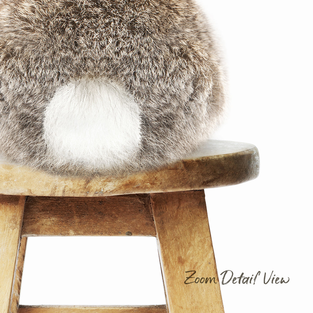 A fluffy gray rabbit sits on a wooden stool, its tail visible.