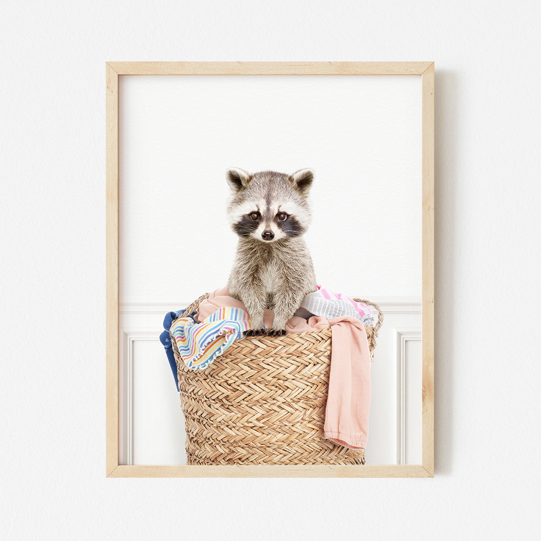 a raccoon sitting in a basket with clothes in it