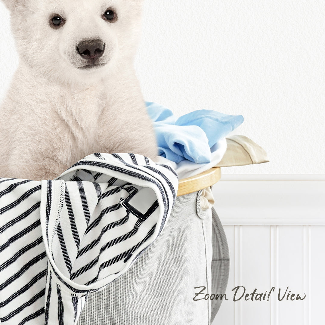 A cute white puppy is sitting in a laundry basket filled with clothes, including a blue shirt and a striped shirt.