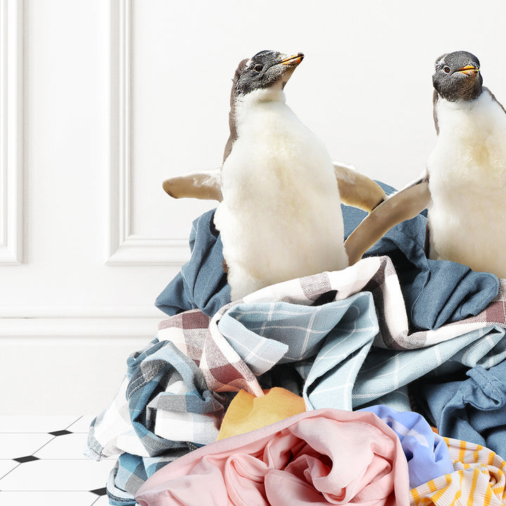 two birds sitting on top of a pile of clothes