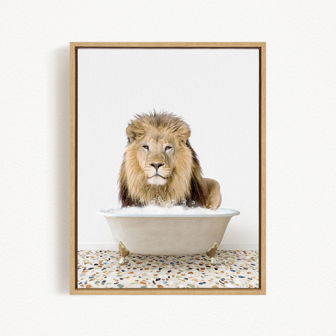 A lion sitting in a bathtub filled with water, looking directly at the camera.