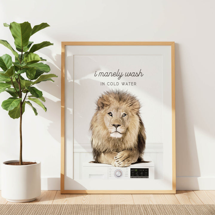 A framed poster featuring a lion sitting on a washing machine, with the text "I merely wash in cold water" displayed on the poster.