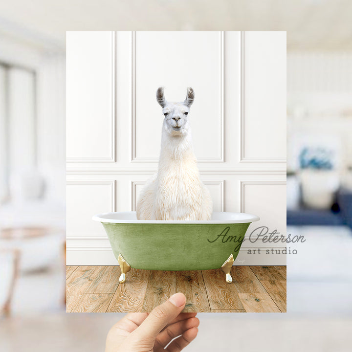 a llama is sitting in a green bathtub