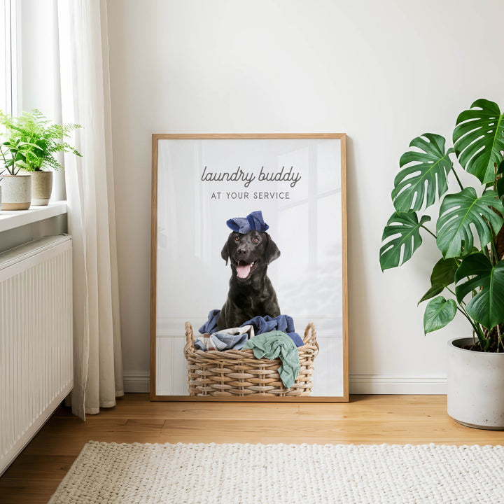 A framed poster with a black dog sitting in a laundry basket, wearing a blue hat and surrounded by clothes, with the text "laundry buddy at your service" on the poster.
