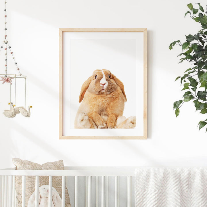 a picture of a dog and a rabbit in a frame