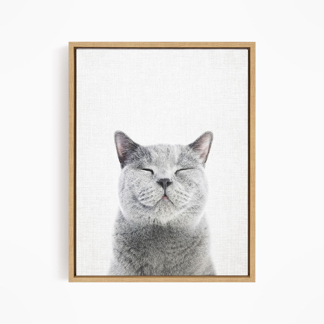 A gray cat with closed eyes and a content expression is the central focus of the framed artwork.