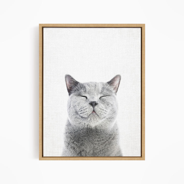 A gray cat with closed eyes and a content expression is the central focus of the framed artwork.