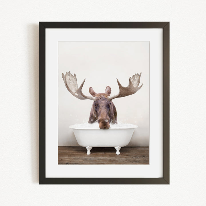 A moose with large antlers is sitting in a white bathtub, appearing to enjoy a relaxing soak.