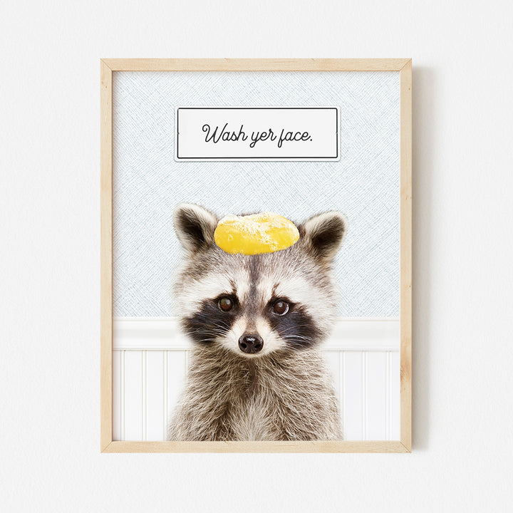 a picture of a raccoon with a lemon on its head