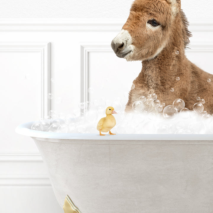 Baby Donkey in Stencil Neutral Bath