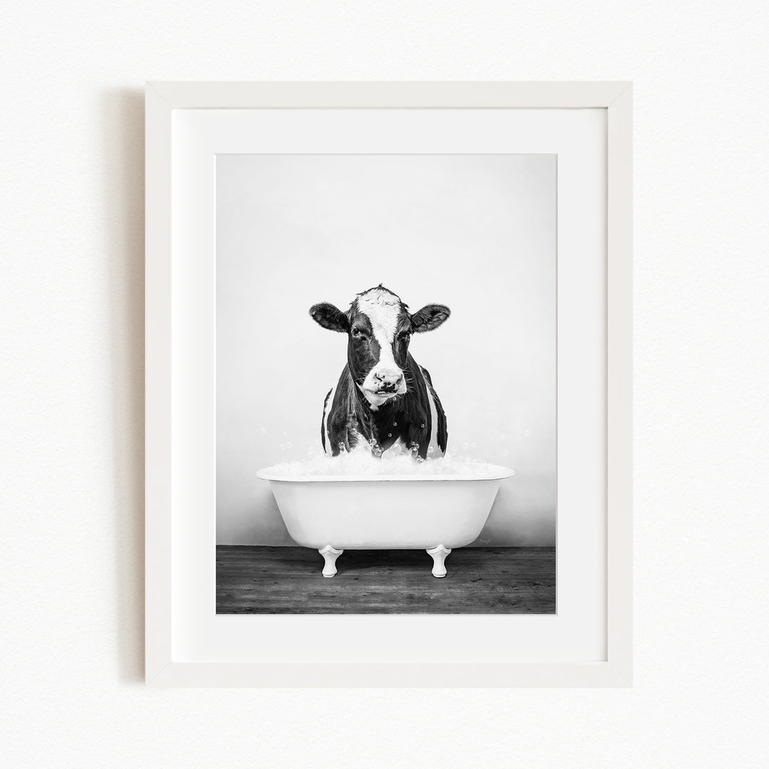 A black and white photograph of a cow standing in a bathtub filled with water.