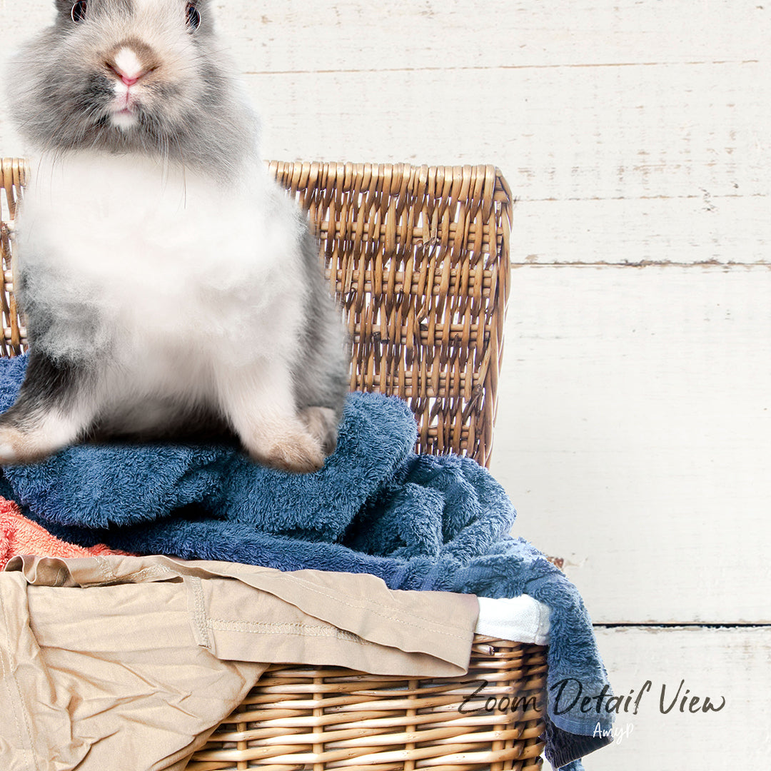 A fluffy gray and white rabbit sits on a wicker basket filled with clothes, including a blue towel.