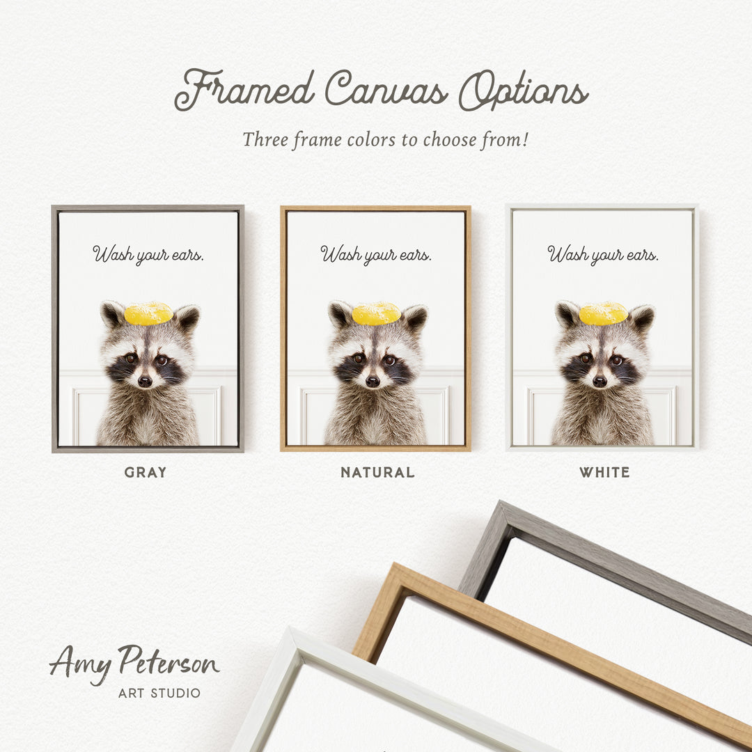 The image is a framed canvas with three different color options for a raccoon picture, including gray, natural, and white frames.