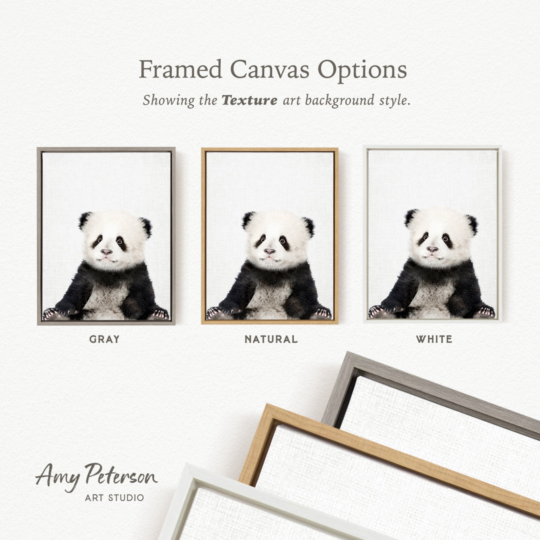 three framed canvas options, each with a panda bear image in a different color background style: gray, natural, and white.