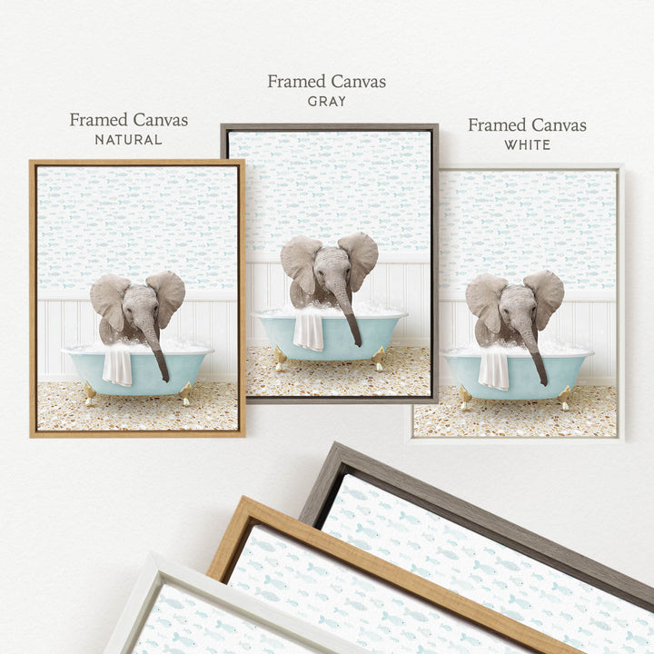 three framed pictures of an elephant sitting in a bathtub, each with a different color frame.