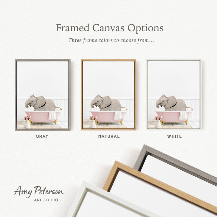 three framed canvas options, each featuring a different color: gray, natural, and white. The text above the images reads " Framed Canvas Options" and "Three frame colors to choose from...". The bottom of the image includes the text " Amy Peterson ART STUDIO".
