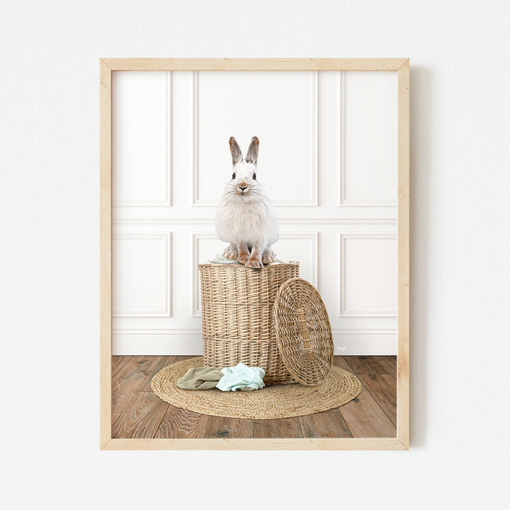 a white rabbit sitting on top of a basket