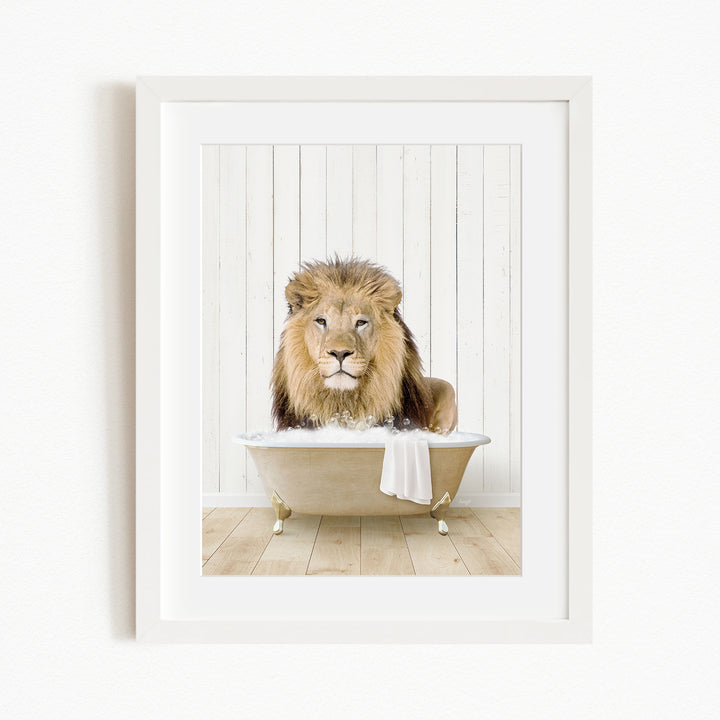 A lion sitting in a bathtub, with a towel draped over the side of the tub.