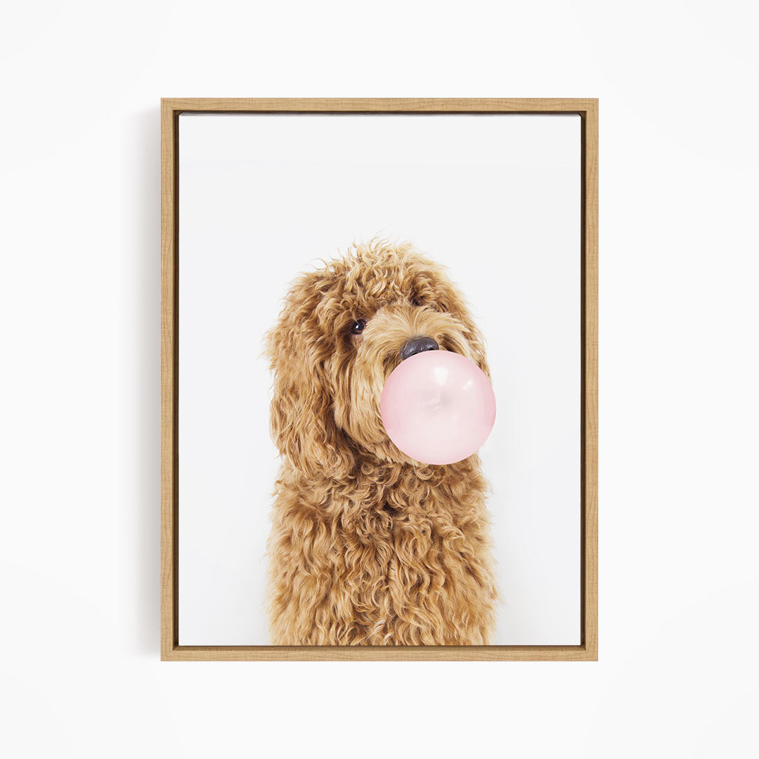 A brown dog with curly fur is blowing a pink bubblegum bubble with its mouth.