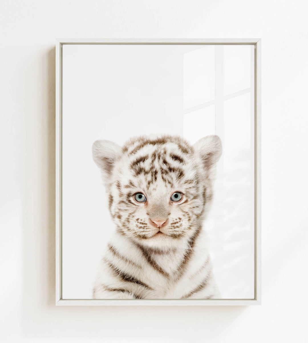 A young tiger cub with striking blue eyes and a playful expression is the focal point of the framed image.