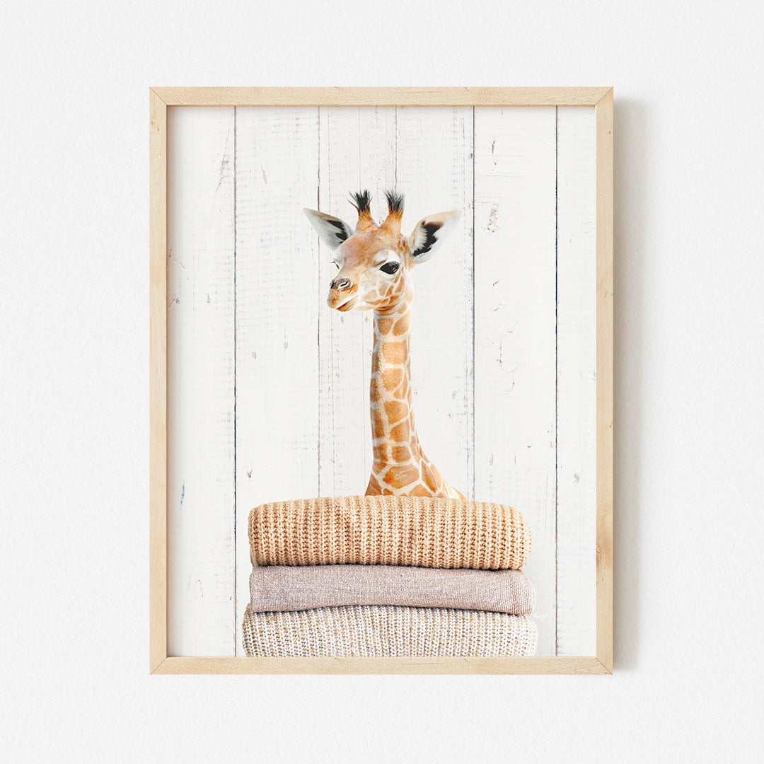 a picture of a giraffe is hanging on a wall