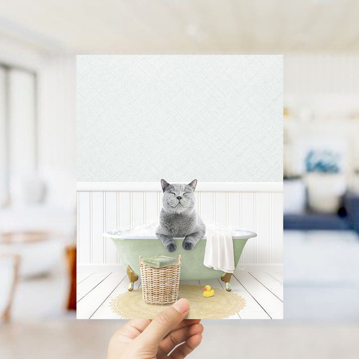 A gray cat sitting in a green bathtub filled with bubbles, with a yellow rubber duck nearby.